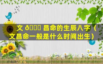 文 🍀 昌命的生辰八字（文昌命一般是什么时间出生）